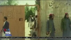 خبر ۸