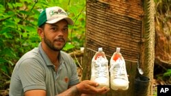 Amazon Rubber Sustainability