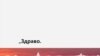 Како пандемијата се одразува врз бегалците во Македонија?