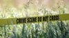 Crime