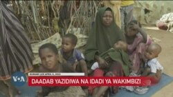 Kenya: Kundi la watu kati ya 400 hadi 500 wawasili kila siku katika kambi ya Daadab
