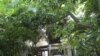 ជនជាតិ​បារាំង​ ប៉ាទ្រិក ដឺវិល័រ​មក​ស្នាក់​នៅ​កម្ពុជា​ក្រោយ​ពី​ផ្តល់​សក្ខីកម្ម​នៅ​ចិន
