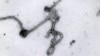 Ebola Pioneer Backs Experimental Drug Tests