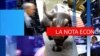 Latam se mueve para proteger su economía