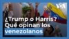 Donald Trump o Kamala Harris: ¿Qué opinan los venezolanos sobre las elecciones en EEUU?