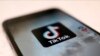 中国短视频应用程序抖音海外版TikTok。（资料照）