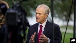 FILE - White House trade adviser Peter Navarro speaks during a television interview at the White House, Oct. 8, 2019.