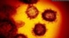 Kluster virus SARS-CoV-2 (severe acute respiratory syndrome coronavirus 2) yang menyebabkan COVID-19 tampak dari mikroskop. (Foto: Institut Nasional Alergi dan Penyakit Menular AS)