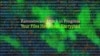 Pemerintah mengklaim mulai memulihkan data yang telah dienkripsi terkait serangan siber dalam bentuk ransomware yang berimplikasi pada lebih dari 160 lembaga pada bulan lalu. (Graphics by Diaa Bekheet)