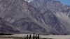 Tourists ride double hump camels at Nubra valley, in Ladakh, India, July 2011.