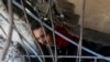 Israel Palestinians Photo Gallery Week 5