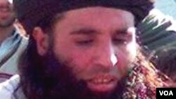 وزير رحمان ملک وئيلي دپاکستاني طالبانو مشر مولانا فضل الله بايد پاکستان ته وسپارل شي