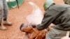 Tsobeyi Alphonse Tatia, interpellé par la gendarmerie nationale, au Cameroun, le 12 mai 2018. (VOA/Emmanuel Jules Ntap)